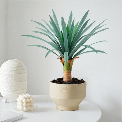 18in Gray Green Agave, Sunproof Large Injection-Molded Leaves, Indoor/Outdoor Decor 1-Pack
