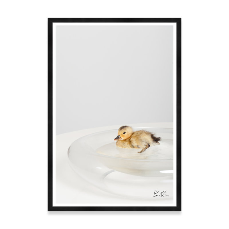 Étang de canard, Noir, H 54,75 po x l 37,5 po x P 1,5 po, Lustre photo encadré