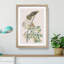 Pigeon Hawks by John James Audubon - Picture Frame Painting Print-55583604-55583605