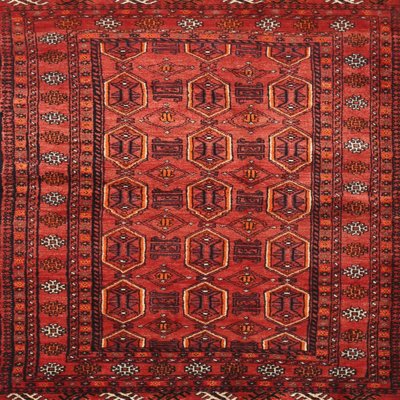 Southwestern Indoor Rug