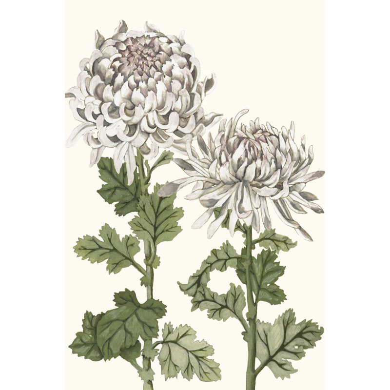Early Spring Chrysanthemums II, 46cm H x 30cm W x 3.8cm D