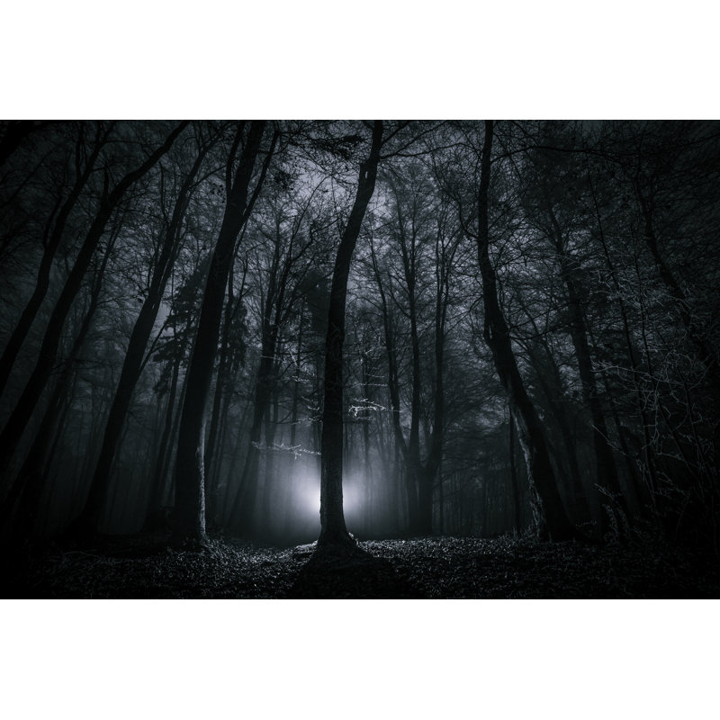Dark scary night forest 458804613, 51cm H x 76cm W