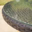 Dubose 6 - Person Wicker Patio Dining Set with Round Table , Cushions Included-123335537-122721473