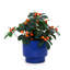 3 pots de fleurs élégants pour patio, jardin-1878267523