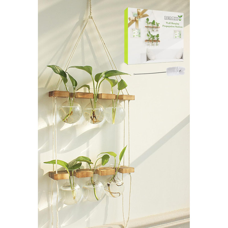 Deana Hanging Planter
