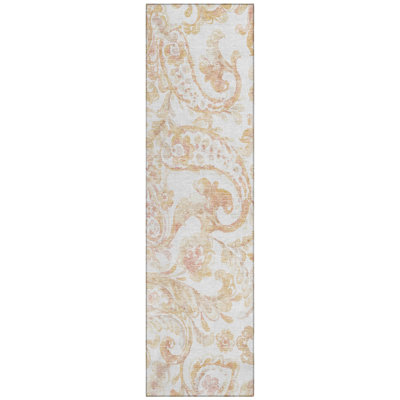 Srija Washable Paisley Indoor / Outdoor Rug