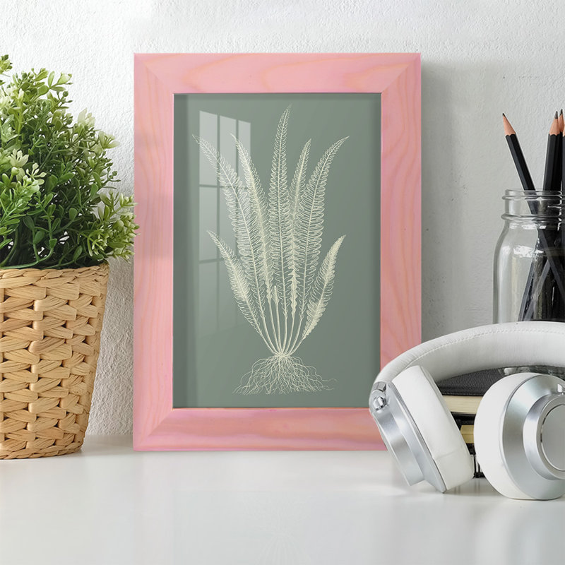 Ferns On Sage IV, reproduction d'art encadrée, H 9 po x l 7 po x P 1 po, Rose