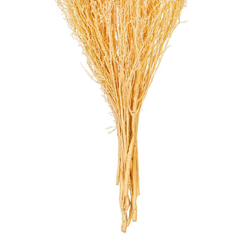 Faux Stoebe Plant Preserved