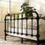 Très grand lit de style transitionnel, métal noir antique avec accents dorés brossés à la main, 7 broches sur H / B et F / B, nécessite un lit de fondation, une tête de lit, une construction complète-1323745152