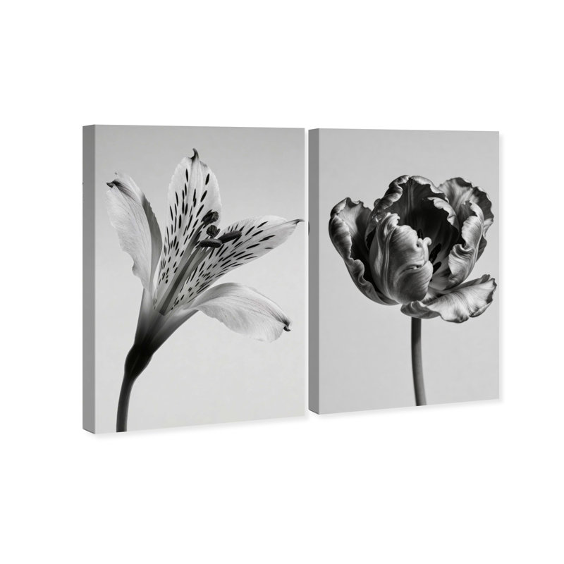 Peeking Flowers Set Set by Oliver Gal, 24" H x 16" W, Gallery Wrapped