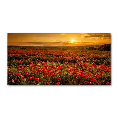 Field Of Poppies - Wrapped Canvas Print