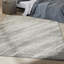 Tapis ivoire / gris Ck011-65118116