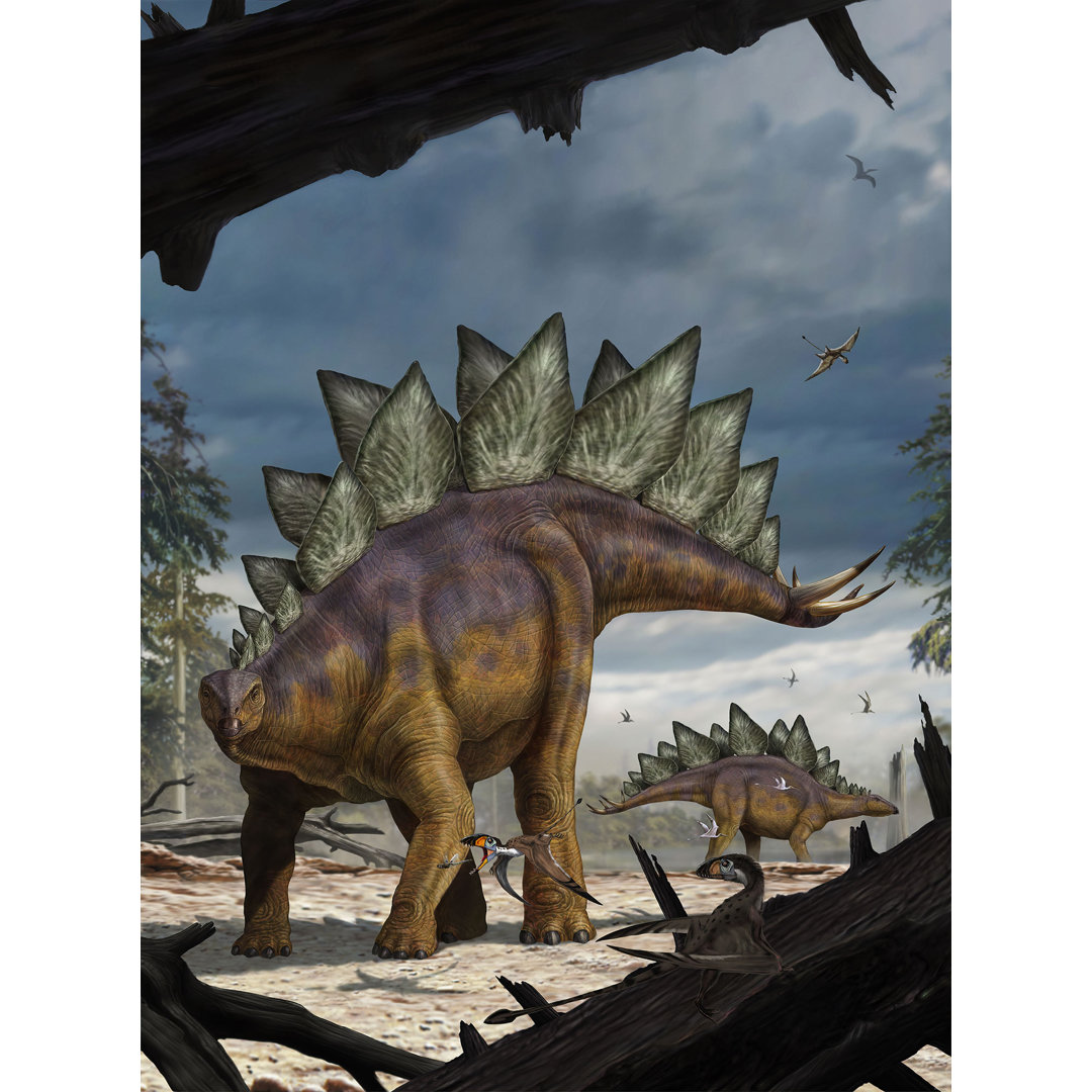 Glatte Fototapete Stegosaurus 2,48 m x 184 cm