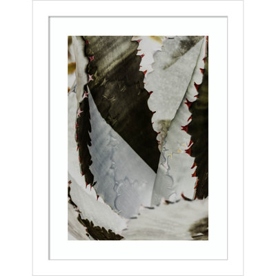 Daisey "Nova" Print by Shot by Clint