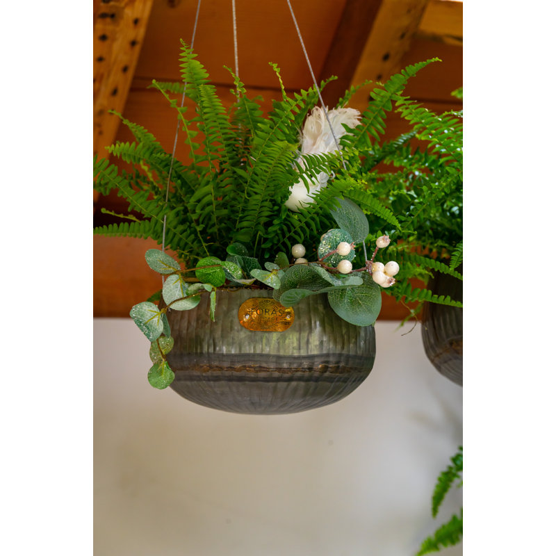 Rish Metal Hanging Planter