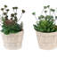 Ensemble de 2 plantes grasses artificielles, fausses plantes en pots de ciment beiges, table moderne et tablette décorative