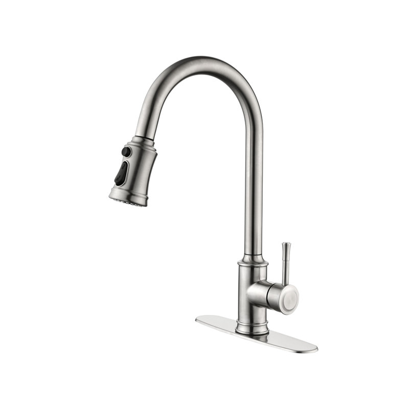 Single Handle High Arc Pull Out Kitchen Faucet,Single Level Stainless Steel Kitchen Sink Faucets With Pull Down Sprayer