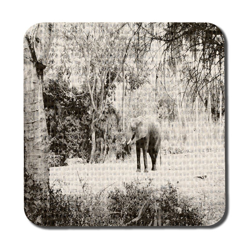 Square 6 Piece Coaster Set