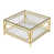 Transparent/Gold