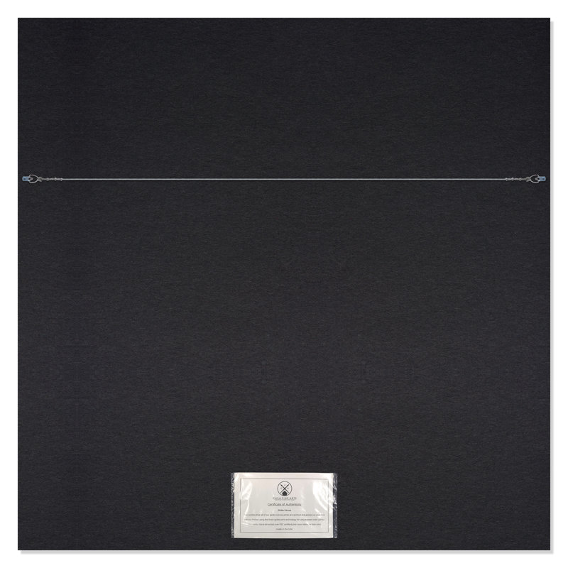 Dandelion 2-Painting Print on Canvas by Filippo Ioco, Silver, 16" H x 16" W x 2" D
