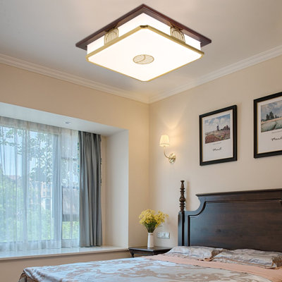 Ceiling Light,
