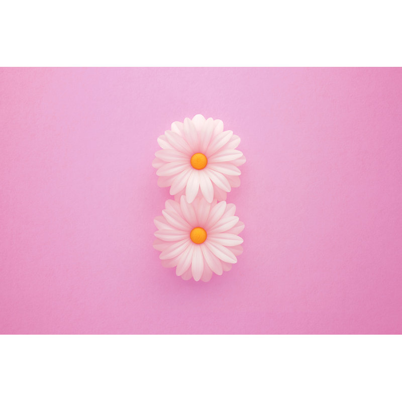 White Daisies by Microstockhub, 12" H x 18" W