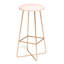 Brontie Upholstered Counter Stool with Metal Frame-1698495135