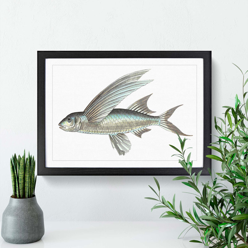 Flying Fish by George Shaw - Framed Print, 36cm H x 48cm W x 2cm D, Black Framed