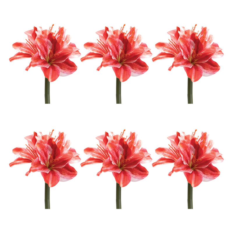 Tige de fleur Amaryllis (ensemble de 6), H 16,75 po x l 6 po x P 5 po, Rouge / rose
