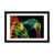 Framed Paper n'est pas disponible