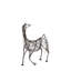 Ming Dynasty Horse-Antique Bronze-11894079