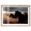 Décoration murale «Dusty Thunder II Shadowbox» par Notoriart, cadre blond, 54 x 36