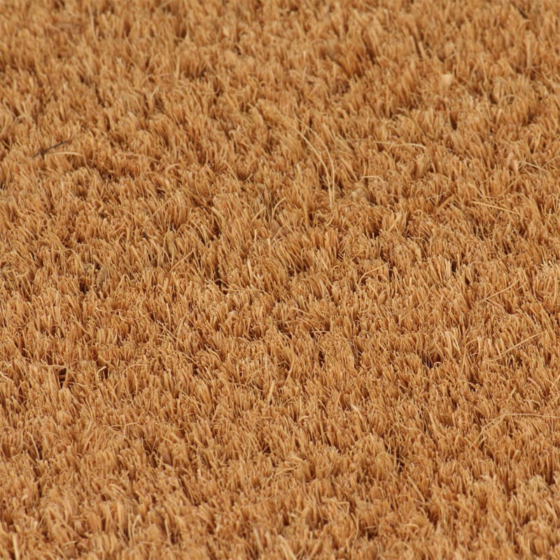 Rhemy Non-Slip Indoor / Outdoor Doormat