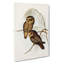 Spotted Owls by Elizabeth Gould - Wrapped Canvas-55318373