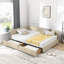 Base de lit capitonnée avec rangement, canapé-lit avec dossier confortable et accoudoirs-1118631420-1123050269