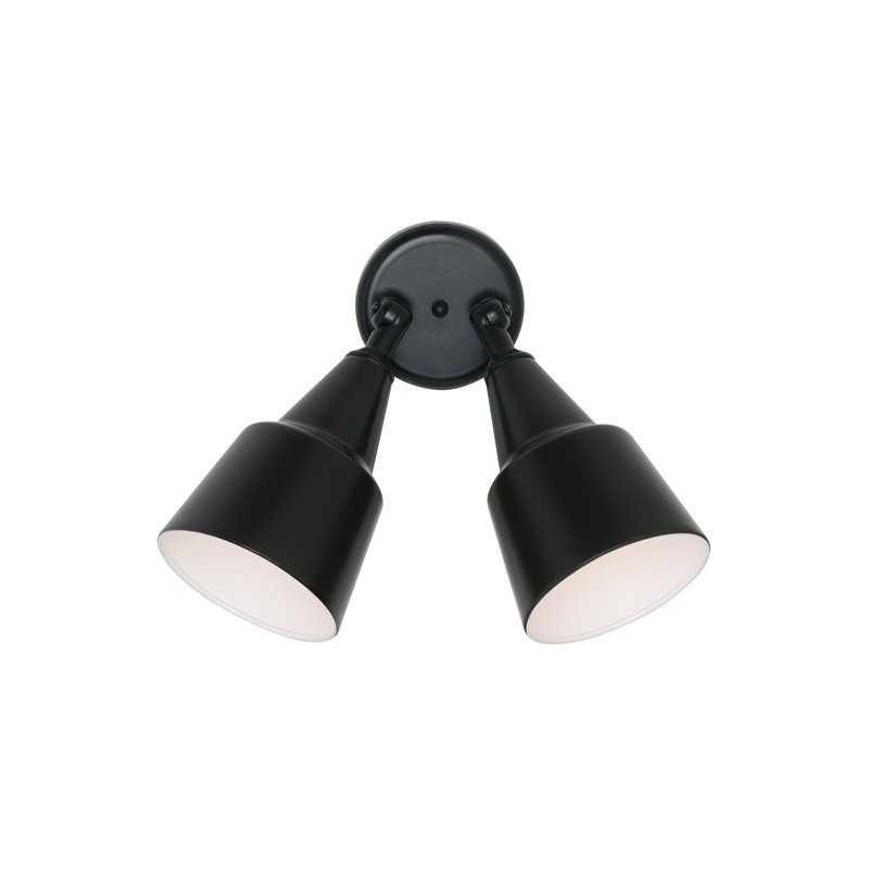 Two Light Adjustable Swivel Flood Light from Generation Lighting , Black