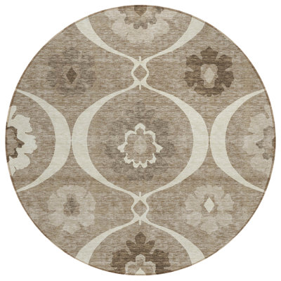  Malchow Area Rug