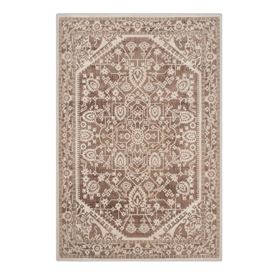 Oriental Indoor Rug