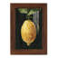 Citron foncé I - impression d'un seul cadre photo-1929416867-1929416945