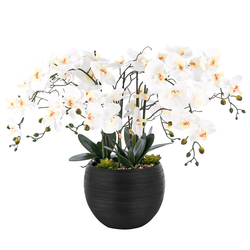 Large White and Green Plastic Orchid Arrangement in Black Pot