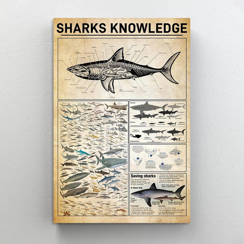 Requins, impression sur toile tendue, H 36 po x l 24 po x P 1,25 po
