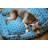 Geometric Cotton Pet Bed-326974860-326974869