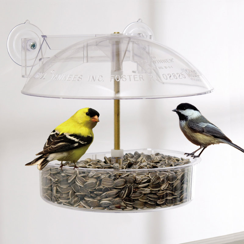 Window Tray Bird Feeder