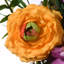 Assortiment de fleurs de 18 po