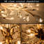 Luminaire suspendu en cristal 1 lumière Jocalyn
