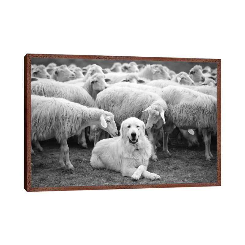 The Boss by Lucian Constantin - Print on Canvas, 45.72cm H x 66.04cm W x 3.81cm D, Classic Brown Wood Floater Framed