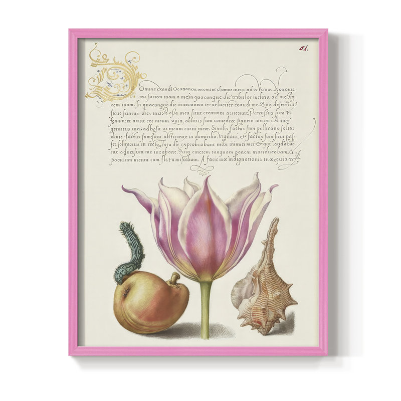 Reproduction encadrée Hoefnagel de spéculations tropicales IV - bois massif, H 30 po x l 24 po, Rose