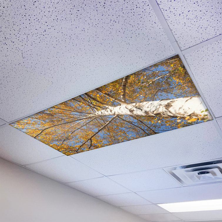 Tree - Magnetic Fluorescent Light Cover for Ceiling Lights Classroom -  2x4 -  by Octo Lights