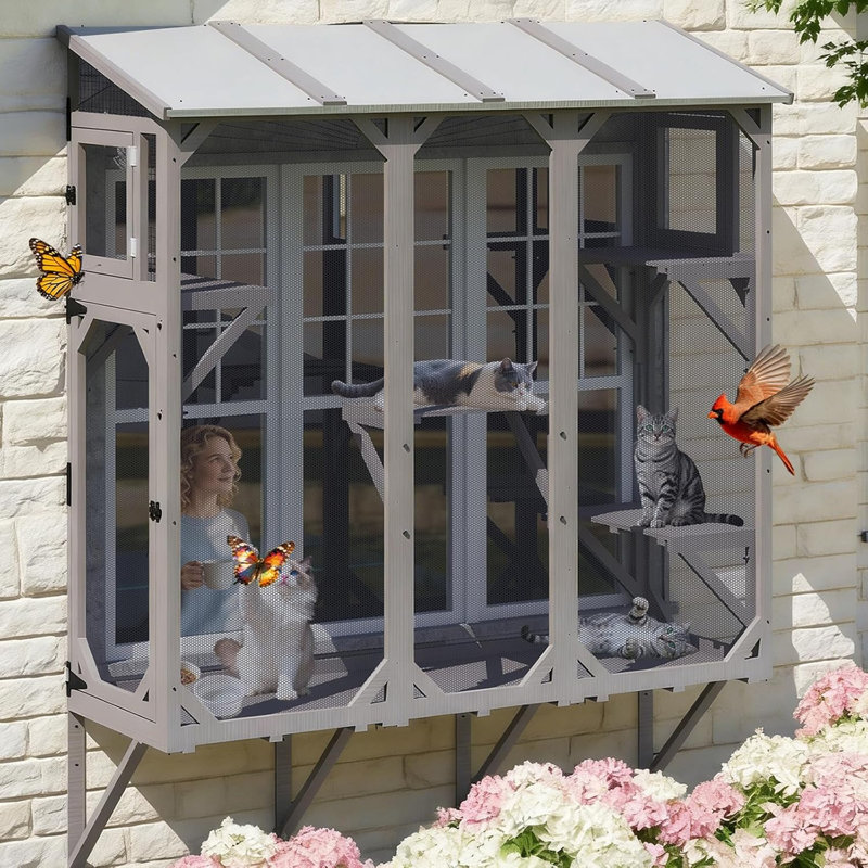  Enceinte de fenêtre extensible pour chat avec plusieurs plateformes avec 4 plateformes et 3 portes, Catio en bois résistant aux intempéries pour les chats d'intérieur, gris