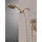 6-Setting PivotPro 3-in-1 Combination Shower Head with High Pressure ProClean Spray Brushed Gold-116423690